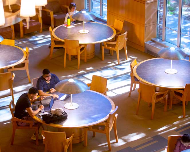 students in a reading room